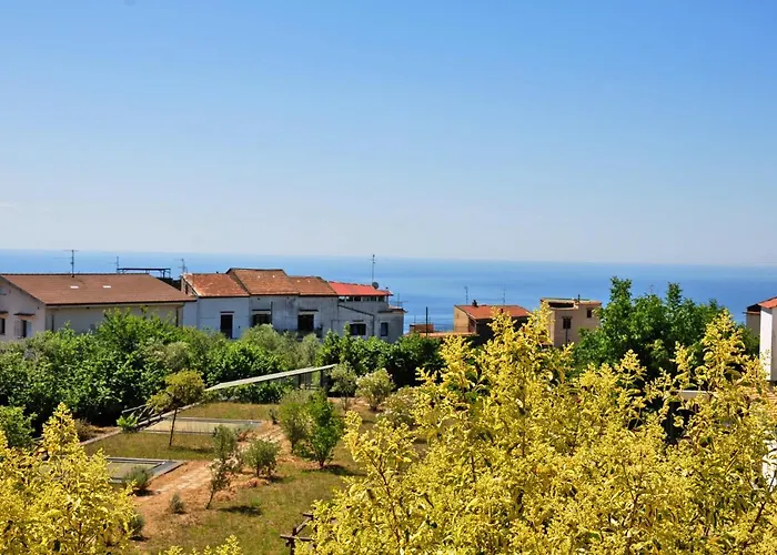 Fernanda Hotel 3*