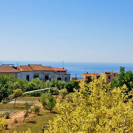 Fernanda Hotel 3*